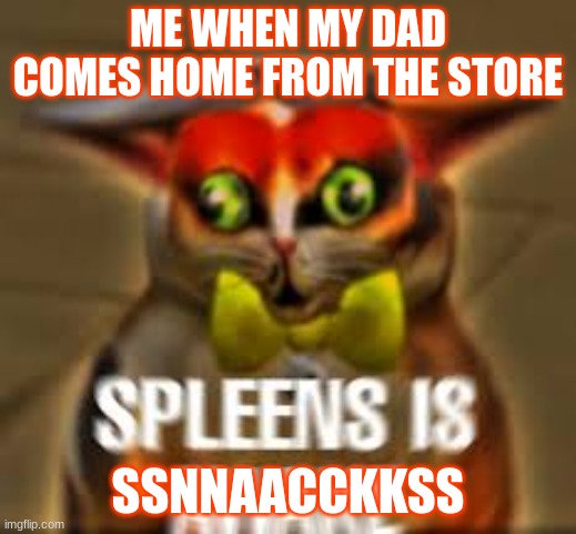 snacks | ME WHEN MY DAD COMES HOME FROM THE STORE; SSNNAACCKKSS | image tagged in funny | made w/ Imgflip meme maker