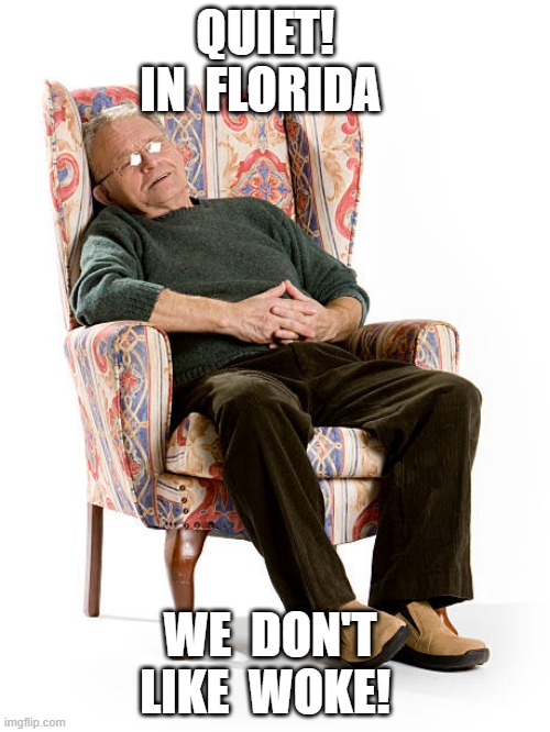 No Woke Here | QUIET!   IN  FLORIDA; WE  DON'T  LIKE  WOKE! | image tagged in woke | made w/ Imgflip meme maker