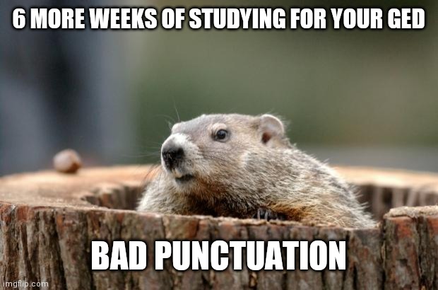 Groundhog | 6 MORE WEEKS OF STUDYING FOR YOUR GED BAD PUNCTUATION | image tagged in groundhog | made w/ Imgflip meme maker