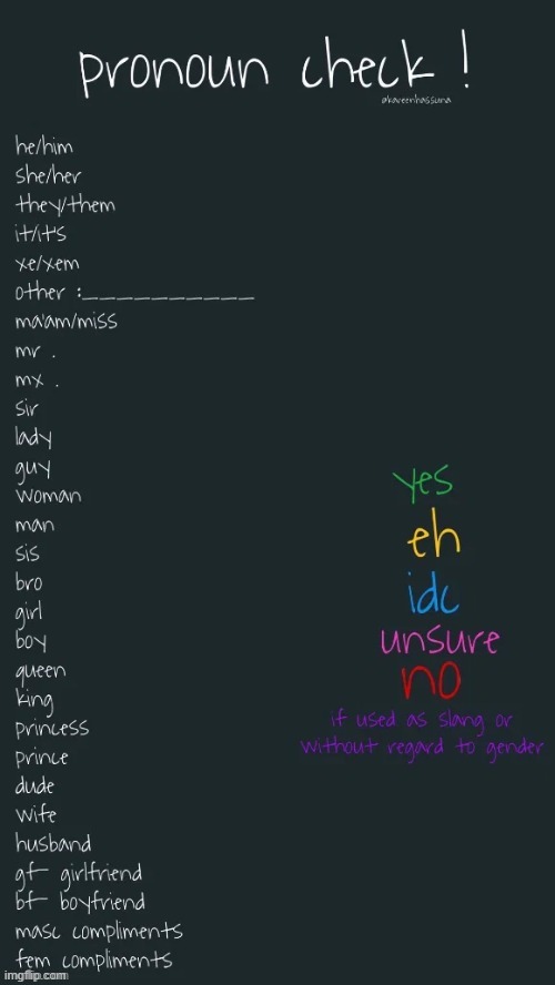 pronoun check! | image tagged in pronoun check | made w/ Imgflip meme maker