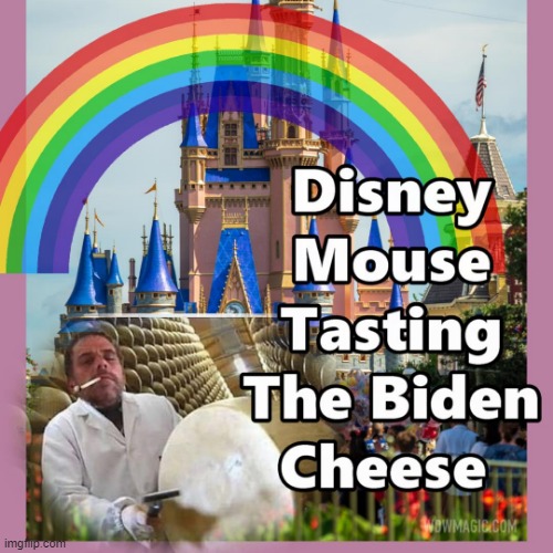Welcome To Disney The Home of the Mouse | image tagged in disney,mickey mouse,memes | made w/ Imgflip meme maker
