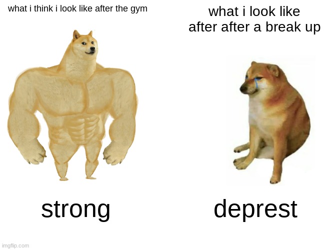 Buff Doge vs. Cheems | what i think i look like after the gym; what i look like after after a break up; strong; deprest | image tagged in memes,buff doge vs cheems | made w/ Imgflip meme maker
