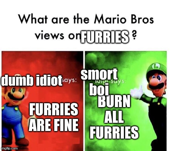 Mario Bros Views | FURRIES; dumb idiot; smort boi; FURRIES ARE FINE; BURN ALL FURRIES | image tagged in mario bros views | made w/ Imgflip meme maker