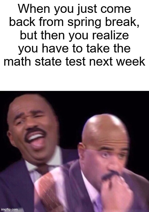 Me rn: | When you just come back from spring break, but then you realize you have to take the math state test next week | image tagged in steve harvey laughing serious,math is math,test,memes,relatable | made w/ Imgflip meme maker
