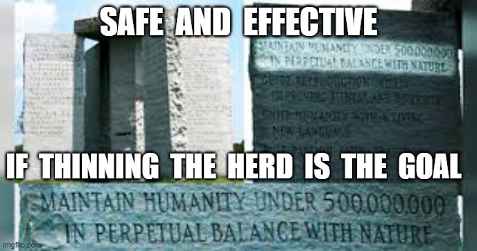 SAFE  AND  EFFECTIVE; IF  THINNING  THE  HERD  IS  THE  GOAL | image tagged in vaccines,georgia guide stones,safe,effective | made w/ Imgflip meme maker