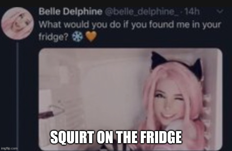 Belle Delphine | SQUIRT ON THE FRIDGE | image tagged in belle delphine | made w/ Imgflip meme maker