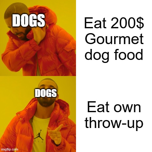 Dogs be like: | Eat 200$ Gourmet dog food; DOGS; DOGS; Eat own throw-up | image tagged in memes,drake hotline bling | made w/ Imgflip meme maker