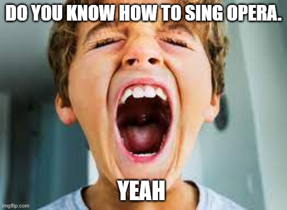 Opera | DO YOU KNOW HOW TO SING OPERA. YEAH | image tagged in phantom of the opera | made w/ Imgflip meme maker