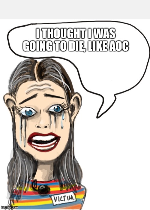 Taylor Lorenz | I THOUGHT I WAS GOING TO DIE, LIKE AOC | image tagged in taylor lorenz | made w/ Imgflip meme maker