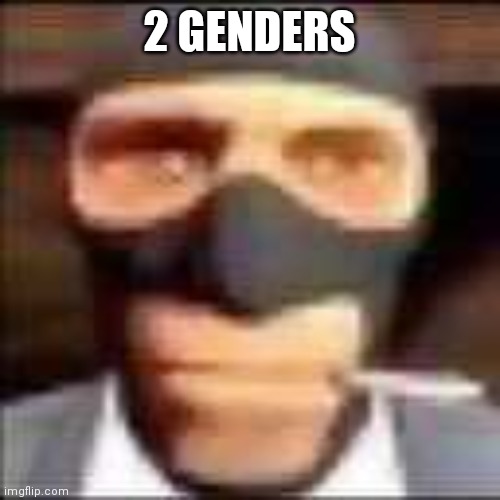 spi | 2 GENDERS | image tagged in spi | made w/ Imgflip meme maker