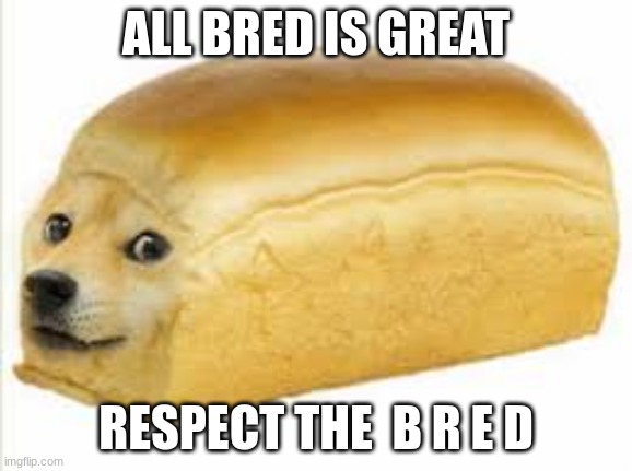 Doge bread | ALL BRED IS GREAT RESPECT THE  B R E D | image tagged in doge bread | made w/ Imgflip meme maker