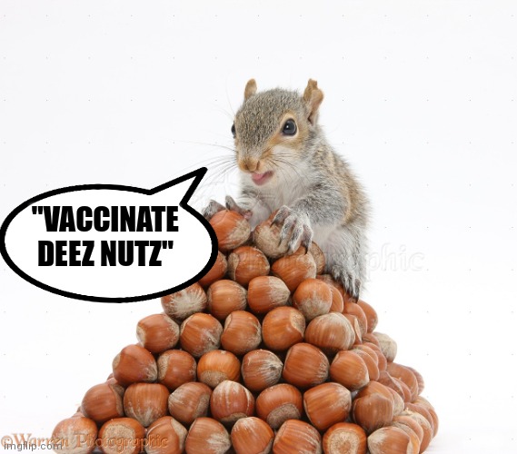 Vaccinate deez nutz | "VACCINATE DEEZ NUTZ" | image tagged in vaccinate deez nutz | made w/ Imgflip meme maker