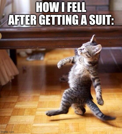 Swag cat | HOW I FELL AFTER GETTING A SUIT: | image tagged in swag cat | made w/ Imgflip meme maker