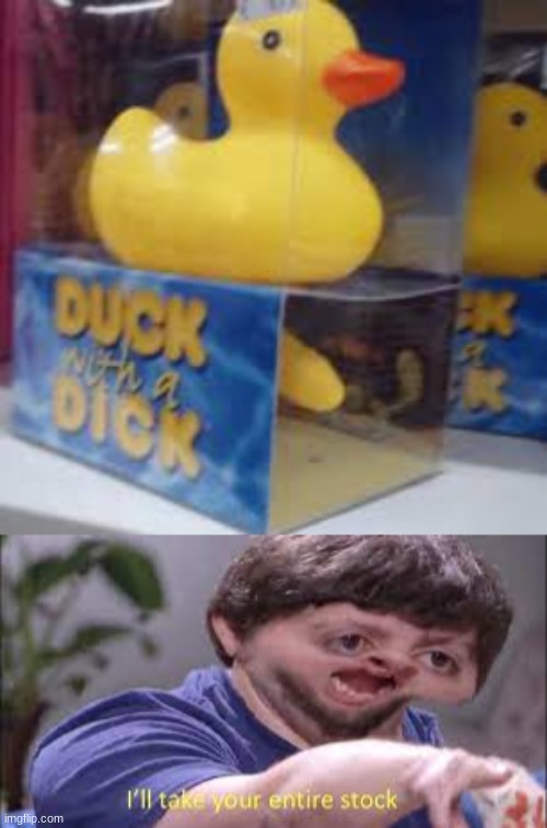 Sus | image tagged in duck,dick,ill take your entire stock | made w/ Imgflip meme maker
