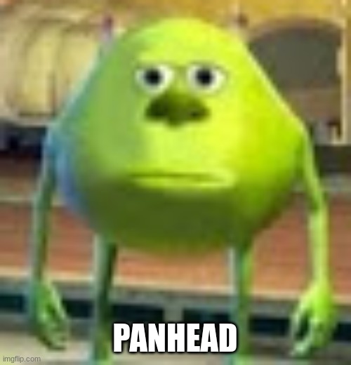 Sully Wazowski | PANHEAD | image tagged in sully wazowski | made w/ Imgflip meme maker