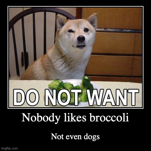 Do You Want Broccoli Dog