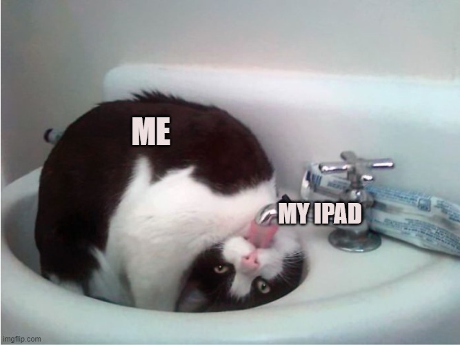 Me and my iPad XD | ME; MY IPAD | image tagged in thirsty boi | made w/ Imgflip meme maker