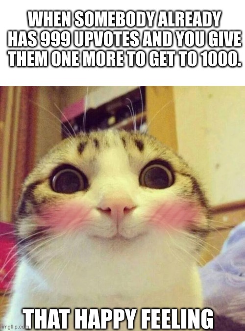True joy | WHEN SOMEBODY ALREADY HAS 999 UPVOTES AND YOU GIVE THEM ONE MORE TO GET TO 1000. THAT HAPPY FEELING | image tagged in smiling cute cat | made w/ Imgflip meme maker