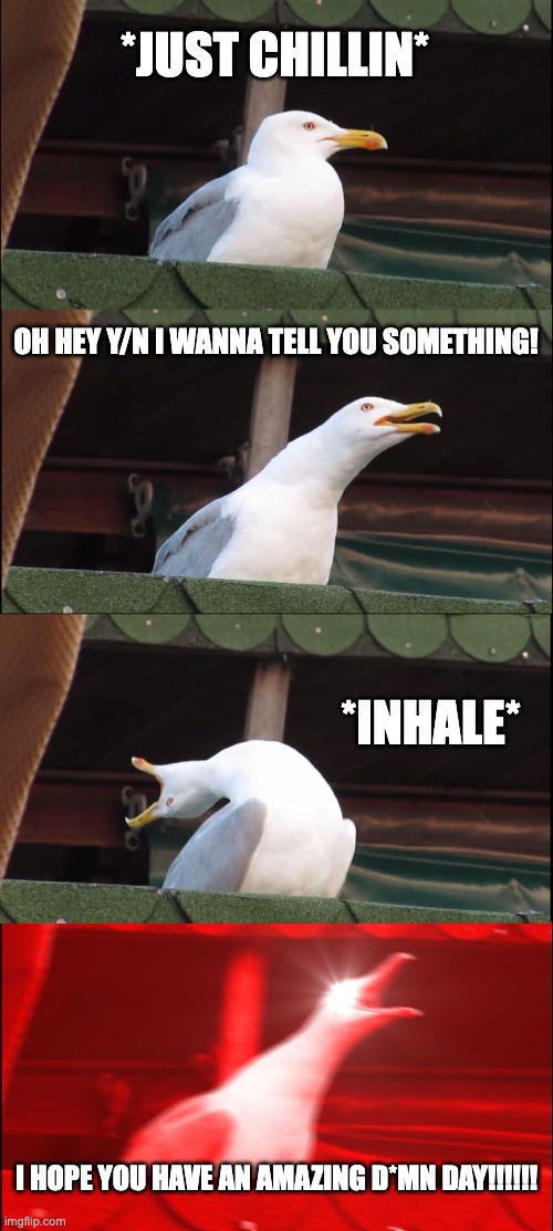 have a good G'day | *JUST CHILLIN*; OH HEY Y/N I WANNA TELL YOU SOMETHING! *INHALE*; I HOPE YOU HAVE AN AMAZING D*MN DAY!!!!!! | image tagged in memes,inhaling seagull | made w/ Imgflip meme maker