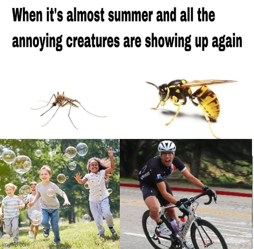 Some annoying things | image tagged in summer | made w/ Imgflip meme maker