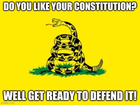 Our flag | DO YOU LIKE YOUR CONSTITUTION? WELL GET READY TO DEFEND IT! | image tagged in gadsden flag | made w/ Imgflip meme maker