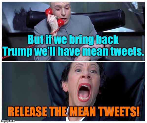 Dr Evil and Frau Yelling | But if we bring back Trump we’ll have mean tweets. RELEASE THE MEAN TWEETS! | image tagged in dr evil and frau yelling | made w/ Imgflip meme maker