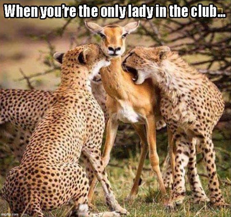 image tagged in dark humor | made w/ Imgflip meme maker