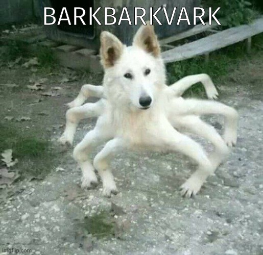 But why? Why would you do that? | BARKBARKVARK | image tagged in but why why would you do that,spider,doge,cursed image | made w/ Imgflip meme maker