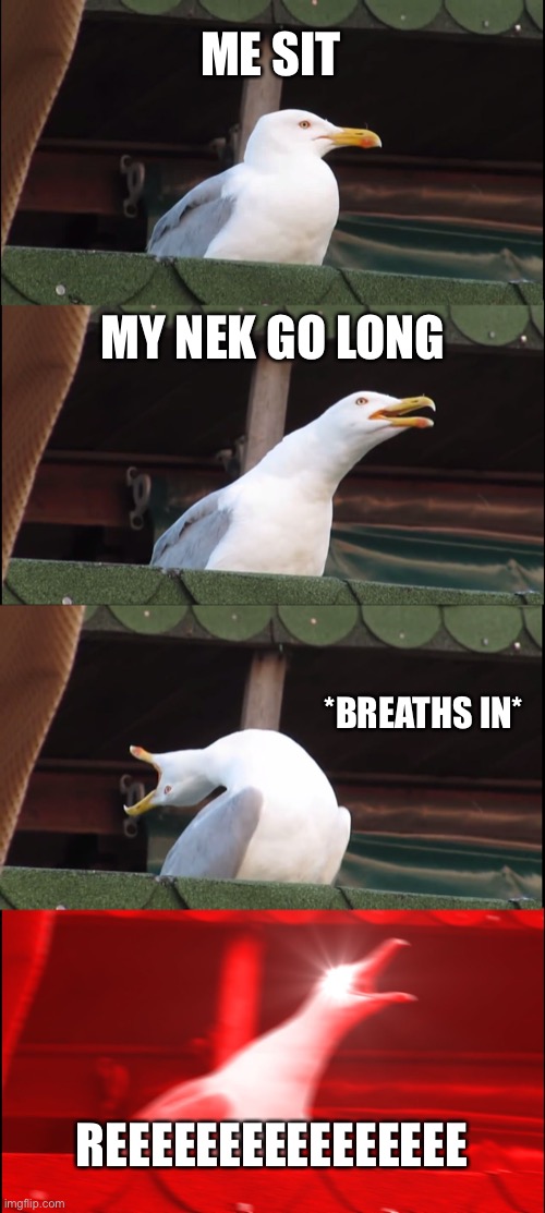 Inhaling Seagull Meme | ME SIT; MY NEK GO LONG; *BREATHS IN*; REEEEEEEEEEEEEEEE | image tagged in memes,inhaling seagull | made w/ Imgflip meme maker