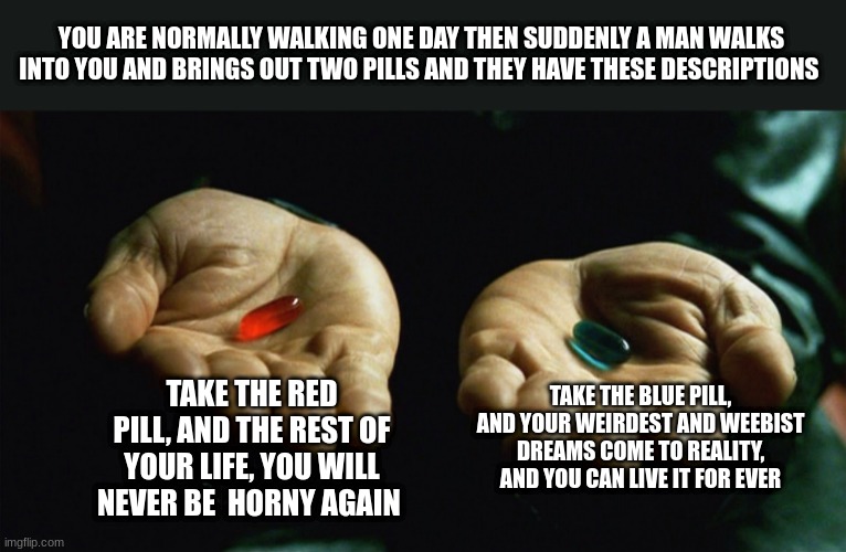 which one, tell me in the comments, I'd take the red pill | YOU ARE NORMALLY WALKING ONE DAY THEN SUDDENLY A MAN WALKS INTO YOU AND BRINGS OUT TWO PILLS AND THEY HAVE THESE DESCRIPTIONS; TAKE THE BLUE PILL, AND YOUR WEIRDEST AND WEEBIST DREAMS COME TO REALITY, AND YOU CAN LIVE IT FOR EVER; TAKE THE RED PILL, AND THE REST OF YOUR LIFE, YOU WILL NEVER BE  HORNY AGAIN | image tagged in red pill blue pill | made w/ Imgflip meme maker
