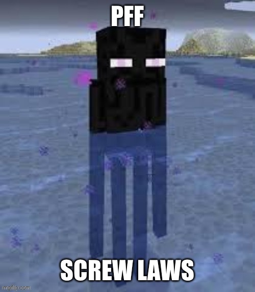 Mmm illegalness | PFF; SCREW LAWS | image tagged in cursed enderman,law,enderman,water,minecraft | made w/ Imgflip meme maker