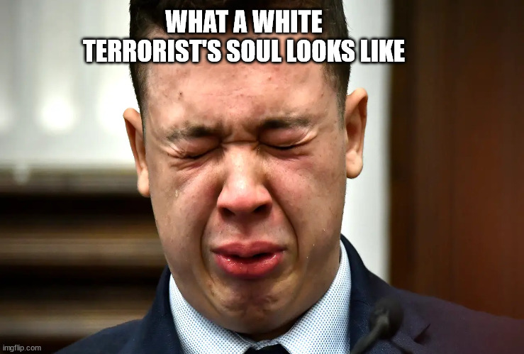 alpha maga | WHAT A WHITE TERRORIST'S SOUL LOOKS LIKE | image tagged in maga,crying,crocodile,tears,alpha | made w/ Imgflip meme maker