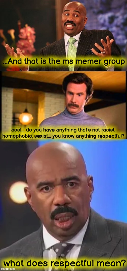global mods be like | ...And that is the ms memer group; cool... do you have anything that's not racist, homophobic, sexist... you know anything respectful? what does respectful mean? | image tagged in steve harvey confused | made w/ Imgflip meme maker