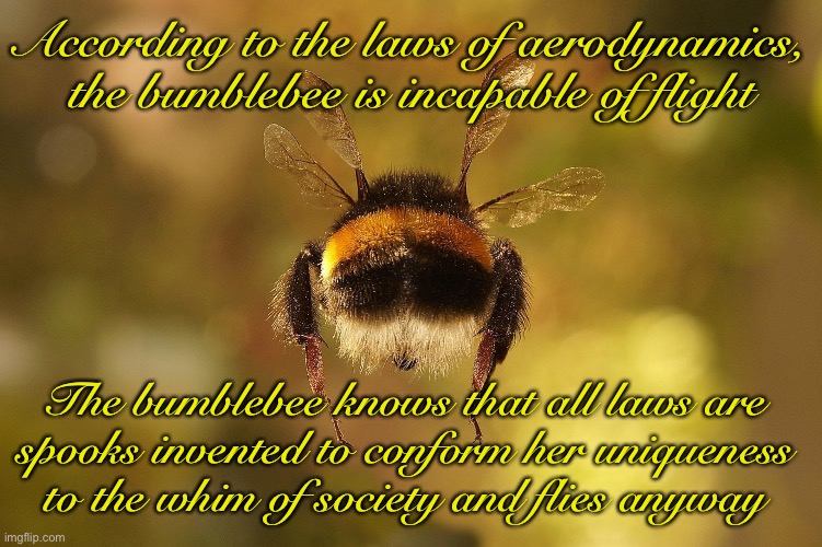 Beecome ungovernable | According to the laws of aerodynamics, the bumblebee is incapable of flight; The bumblebee knows that all laws are 
spooks invented to conform her uniqueness 
to the whim of society and flies anyway | made w/ Imgflip meme maker