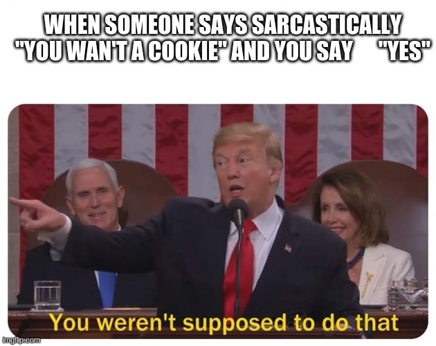 Don't Do That | WHEN SOMEONE SAYS SARCASTICALLY "YOU WAN'T A COOKIE" AND YOU SAY      "YES" | image tagged in you werent supposed to do that | made w/ Imgflip meme maker