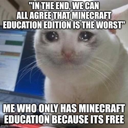 sad | "IN THE END, WE CAN ALL AGREE THAT MINECRAFT EDUCATION EDITION IS THE WORST"; ME WHO ONLY HAS MINECRAFT EDUCATION BECAUSE ITS FREE | image tagged in crying cat | made w/ Imgflip meme maker