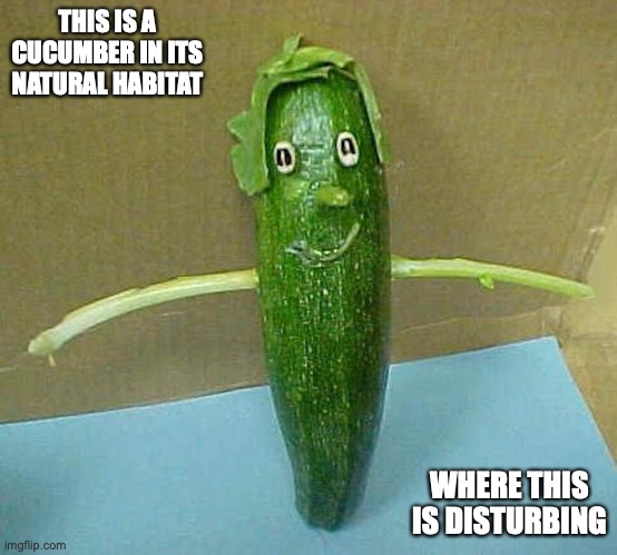Cucumber | THIS IS A CUCUMBER IN ITS NATURAL HABITAT; WHERE THIS IS DISTURBING | image tagged in cucumber,memes | made w/ Imgflip meme maker