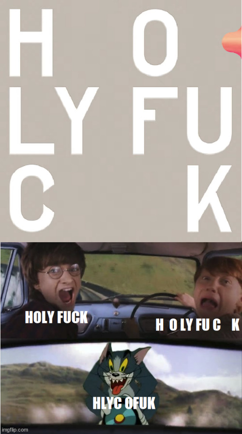 H LY O F U K | image tagged in tom and jerry,harry potter meme,tom chasing harry and ron weasly | made w/ Imgflip meme maker