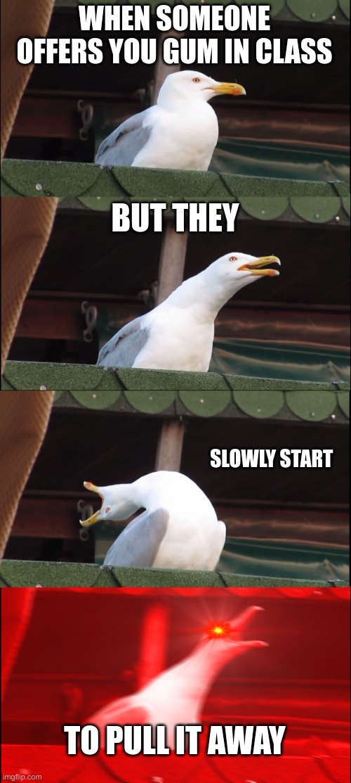 Inhaling Seagull Meme | WHEN SOMEONE OFFERS YOU GUM IN CLASS; BUT THEY; SLOWLY START; TO PULL IT AWAY | image tagged in memes,inhaling seagull | made w/ Imgflip meme maker