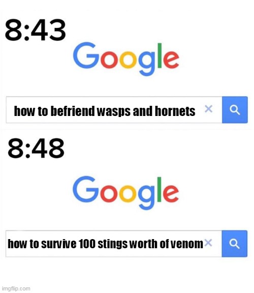 wasps and hornets just hates humans | how to befriend wasps and hornets; how to survive 100 stings worth of venom | image tagged in google before after,wasps,hornets,memes,pain,fears | made w/ Imgflip meme maker