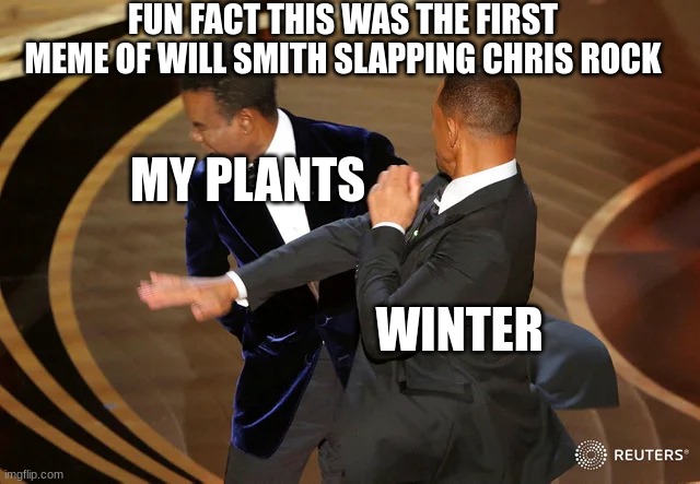 Will Smith punching Chris Rock | FUN FACT THIS WAS THE FIRST MEME OF WILL SMITH SLAPPING CHRIS ROCK; MY PLANTS; WINTER | image tagged in will smith punching chris rock | made w/ Imgflip meme maker