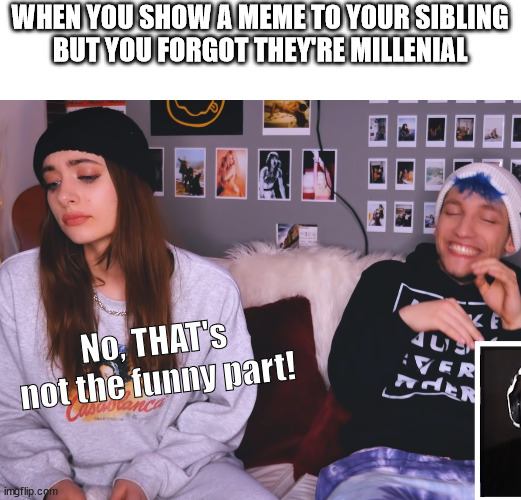 GenZ when communicating with millenials | WHEN YOU SHOW A MEME TO YOUR SIBLING
BUT YOU FORGOT THEY'RE MILLENIAL; No, THAT's not the funny part! | image tagged in generation z,millennials | made w/ Imgflip meme maker