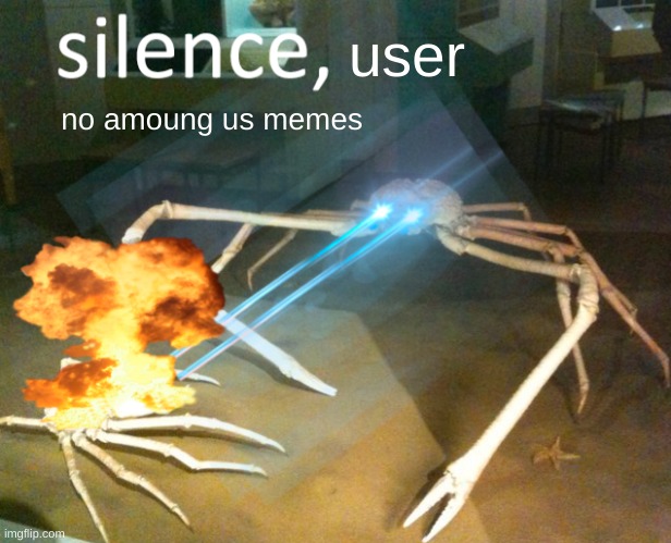 Silence Crab | user no amoung us memes | image tagged in silence crab | made w/ Imgflip meme maker