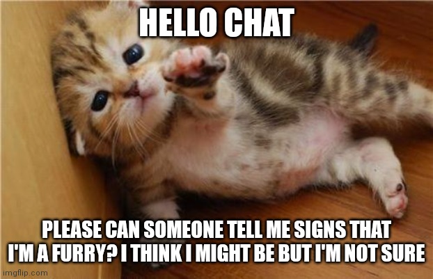 : | HELLO CHAT; PLEASE CAN SOMEONE TELL ME SIGNS THAT I'M A FURRY? I THINK I MIGHT BE BUT I'M NOT SURE | image tagged in help me kitten | made w/ Imgflip meme maker