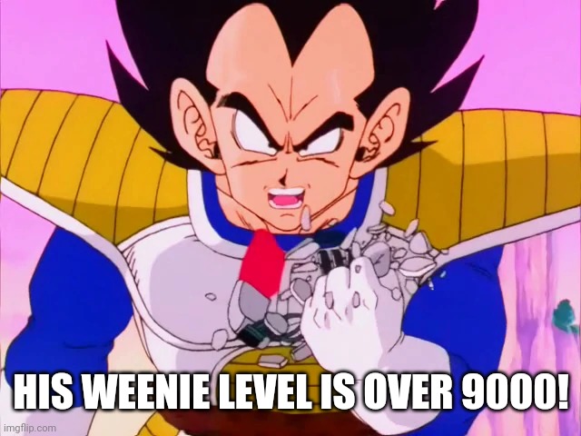 power level | HIS WEENIE LEVEL IS OVER 9000! | image tagged in power level | made w/ Imgflip meme maker
