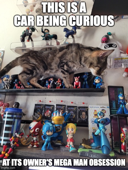 Cat on Counter | THIS IS A CAR BEING CURIOUS; AT ITS OWNER'S MEGA MAN OBSESSION | image tagged in memes,cats,megaman | made w/ Imgflip meme maker