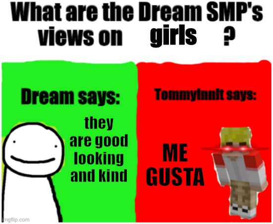 Dream SMP Views | girls; they are good looking and kind; ME GUSTA | image tagged in dream smp views | made w/ Imgflip meme maker