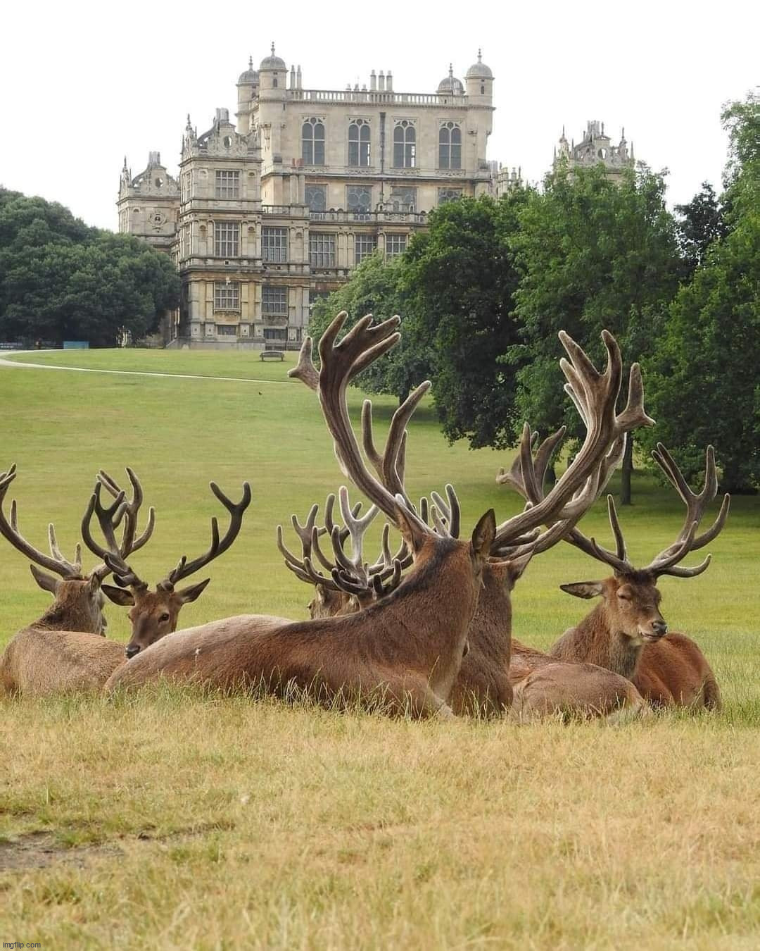 Nice place to live | image tagged in awesome | made w/ Imgflip meme maker