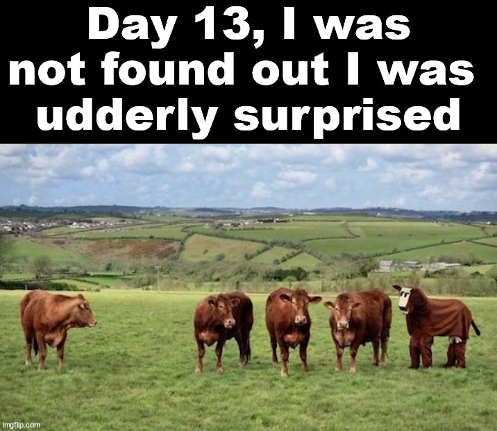 Day 13, I was not found out I was 
udderly surprised | image tagged in eye roll | made w/ Imgflip meme maker
