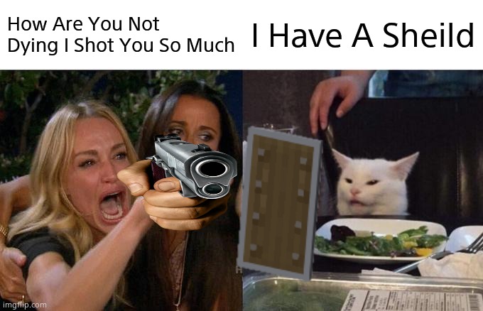 i have a sheild | How Are You Not Dying I Shot You So Much; I Have A Sheild | image tagged in memes,woman yelling at cat | made w/ Imgflip meme maker